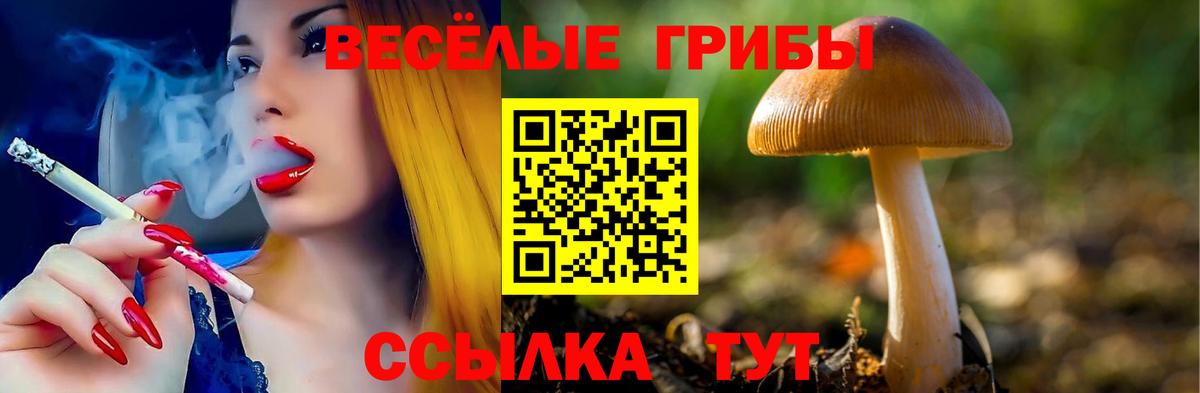 Псилоцибиновые грибы Psilocybine cubensis Иваново
